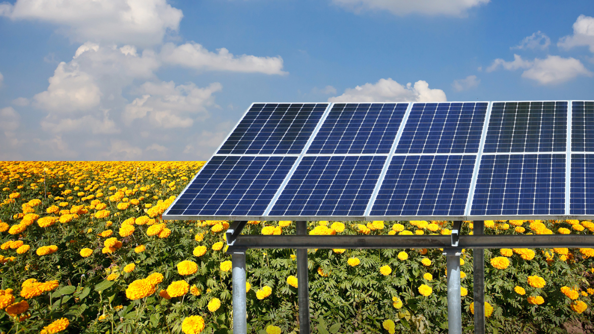 Agricultural Solar System